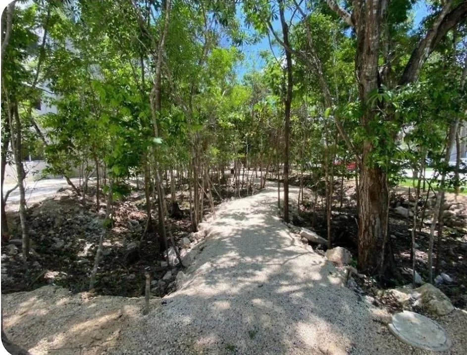 Apartamento Aqua Playa del Carmen