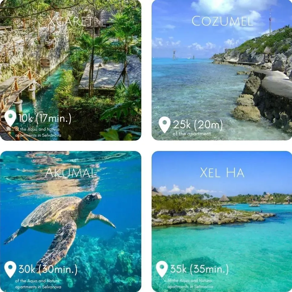 Apartamento Aqua Playa del Carmen México