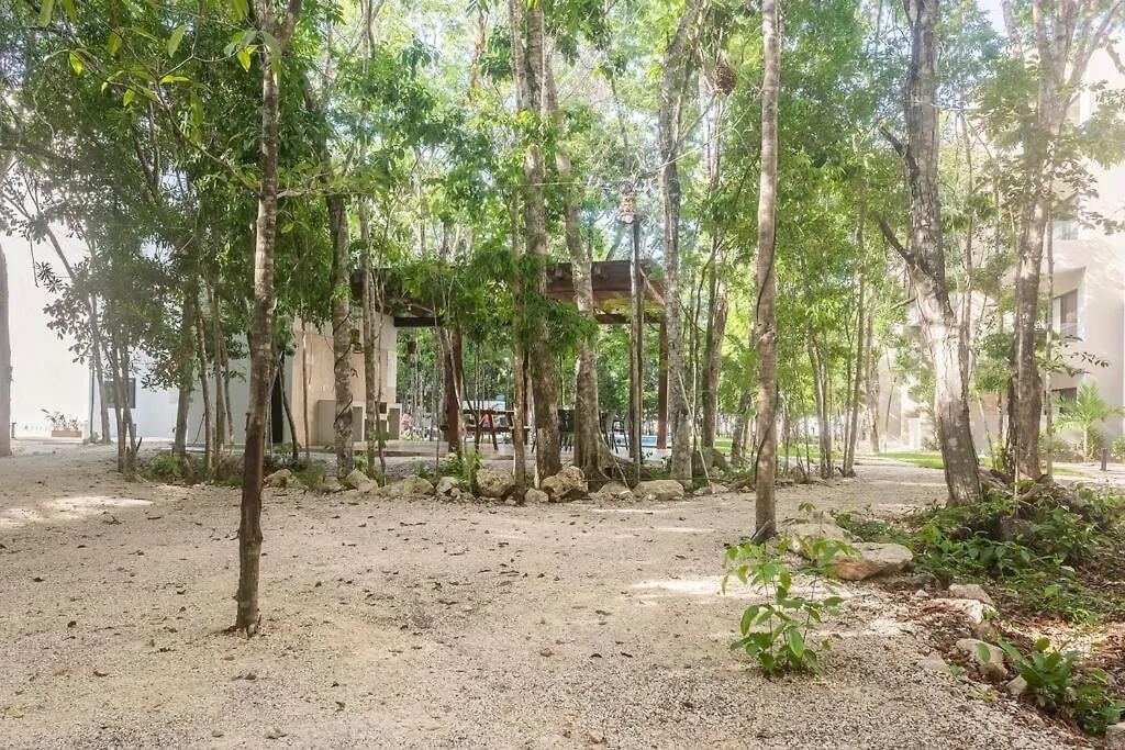 Apartament Aqua Playa del Carmen 0*,